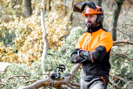 Waist-up portrait of a professional lumberman in harhat and protective workwear standing in the pine...