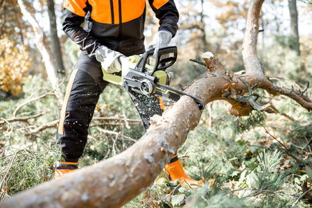 Lumberman in protective workwear sawing branches with a chainsaw from a felled tree in the pine...