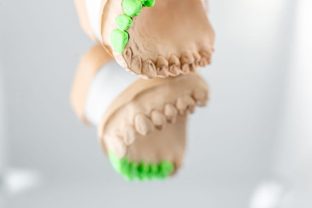 Close-up on plaster model of artificial jaw with teeth painted in green on the mirror background....