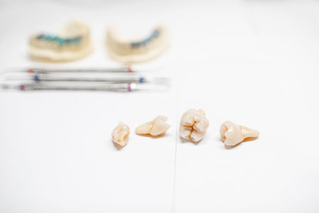 Artificial teeth with dental tools on the white background. Concept of art in dentistry