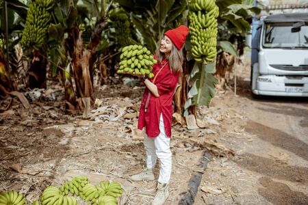 Portrait of a young woman as a tourist or worker carrying banana stem on the plantation during a harvest time with truck on the backgroundの写真素材