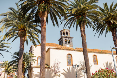 Street view with the old church tower and beatiful palm trees in La Laguna city on a sunny day....