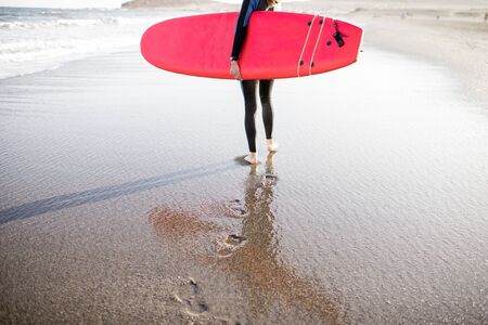 Young woman in wetsuit walking with surfboard, leaving footprints on the sand behind, cropped view from the backside. Water sport and active lifestyle conceptの写真素材