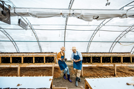 Two farmers examining snails growing process in the hothouse of the farm, wide angle view. Concept...