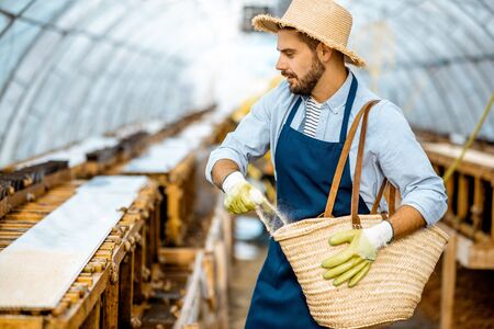 Handsome worker feeding snails, powdering food on the special shelves in the hothouse of the farm. Concept of farming snails for eatingの写真素材