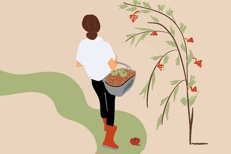 Vector illustration of a young woman picking berriesin the garden or forest, view from the backsideのイラスト素材