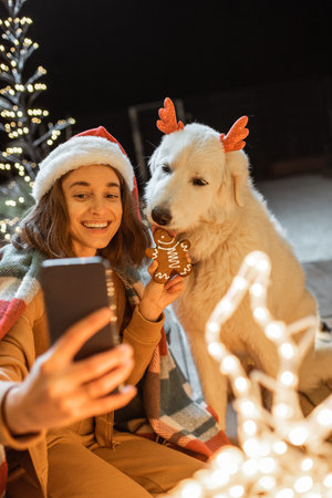 Portrait of a woman in christmas hat and plaid with her cute dog celebrating a New Year holidays at...