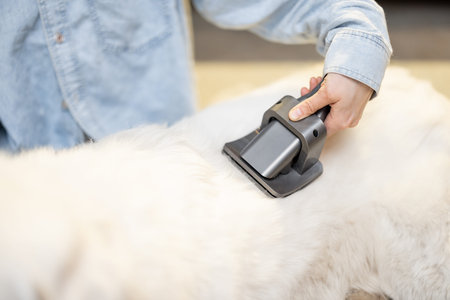 Female combs the dogs hair with a brush