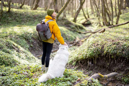 Young woman spend time together with dog in forest.の写真素材