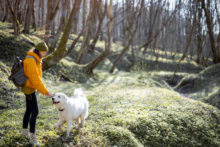 Young woman spend time together with dog in forest.の写真素材