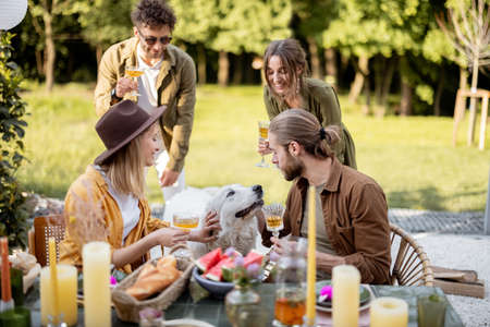 Friends playing with a dog while having a festive dinner during summertime at backyard outdoorsの写真素材