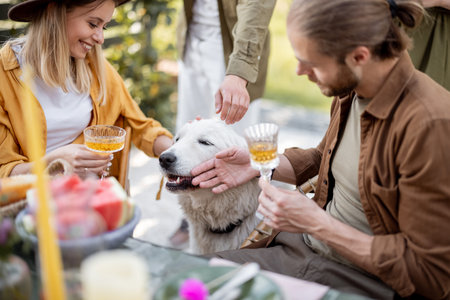 Friends playing with a dog while having a festive dinner during summertime at backyard outdoorsの写真素材