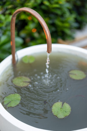 Small fountain with water lilies near sunbed