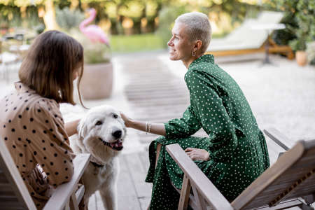 Girlfriends caress dog while sitting on wooden chairs at home terrace. European girls enjoying time together. Concept of modern lifestyle. Idea of female friendship. Sunny warm daytimeの写真素材