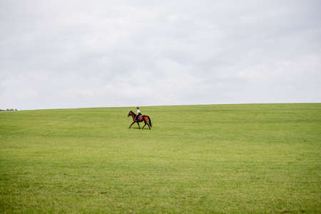 Side view of female horseman riding brown Thoroughbred horse on green meadow in countryside. Concept of rural resting and leisure. Idea of green tourism. Beautiful green landscape on sunny dayの写真素材