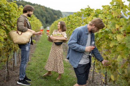 Joyful european friends tasting local wine near vineyards in countryside. Concept of winemaking....