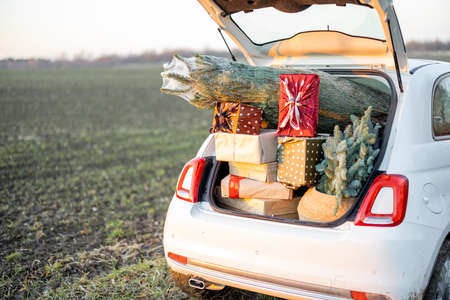 Car trunk full of gift boxes and Christmas tree on the field at sunset. Concept of New Years mood. Idea of preparation for the holidayの写真素材