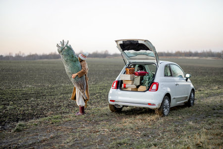 Woman going with freshly picked and packed Christmas tree near car full of gift boxes on nature. Concept of preparation to a New Year holidaysの写真素材
