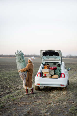 Woman going with freshly picked and packed Christmas tree near car full of gift boxes on nature. Concept of preparation to a New Year holidaysの写真素材
