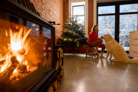 Cozy living room with fireplace and Christmas tree, woman plays with her dog on background. Home comfort during winter holidays conceptの写真素材