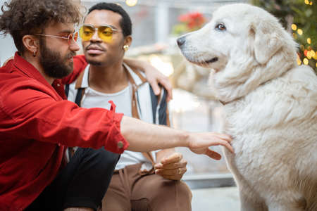 Two brightly dressed guys care dog while sitting on the floor together indoors on background of backyard. Concept of gay couples and romance. Caucasian and hispanic man with pet at homeの写真素材