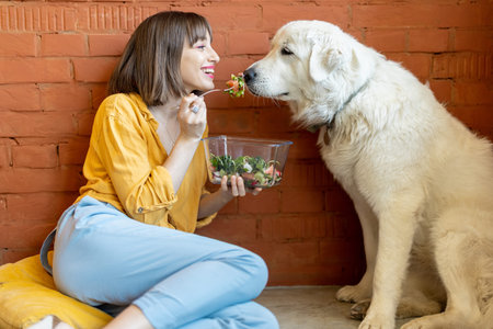 Young woman feeding her cute dog, while sitting together and eating healthy salad indoors. Friendship and spending time with pets conceptの写真素材