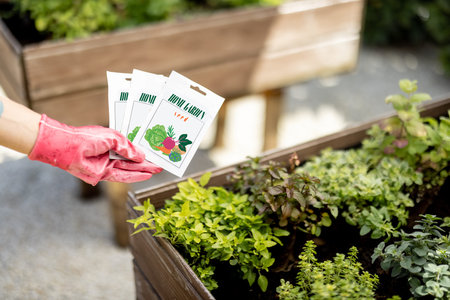 Holding vegetable seeds in paper packets with growing plants on background, close-up. Growing...