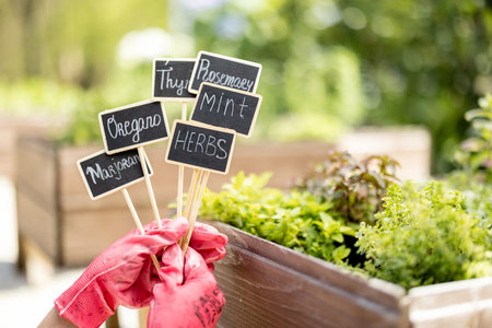 Woman holding wooden plates with inscriptions of plant names with growing herbs on background, close-up. Growing spicy herbs and design of name plates conceptの写真素材