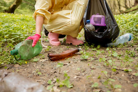 Woman collecting scattered plastic garbage in the woods, cropped view. Problem of bed ecology and environmental pollution with long-decomposing wasteの写真素材