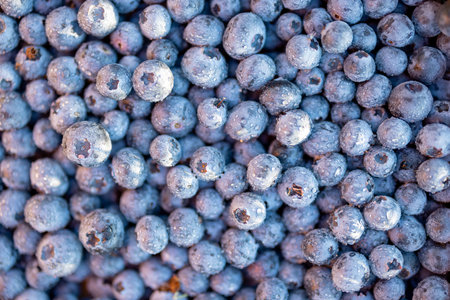 Flat lay of fresh blueberries sprayed with water in natural light. Background image. Concept of...