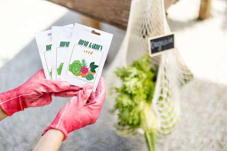 Holding vegetable seeds in paper packets with vegetables in bag on background, close-up. Growing vegetables from seeds, design of packaging conceptの写真素材