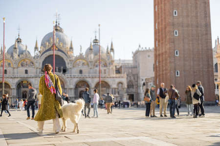 Woman walking with dog on the famous saint Mark square in Venice. Concept of vacations in Italy. Idea of Italian style and lifestyleの写真素材