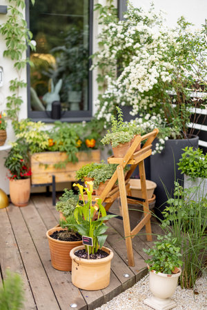 Beautiful backyard of countryhouse with lots of flowers and plantsの写真素材