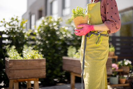 Woman in green apron carrying pot with herbs at home garden outdoors, cropped image with no face....