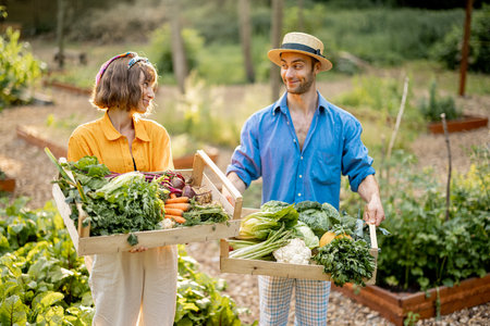Portrait of two cheerful farmers stand together with boxes full of freshly picked vegetables at...