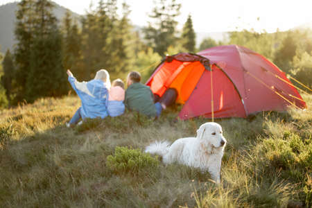Family with a kid and dog enjoy great view on mountains while sit together at campsite near the tent. Family trip on nature conceptの写真素材