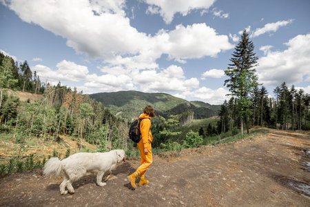 Young person in orange sports suit and backpack walks with her dog on the mountain path in pine...