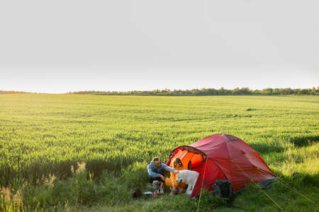 Couple spending summer time with a dog at campsite on the green field. Wide view on beautiful wheatfield on sunset. Man and woman travel with tent on natureの写真素材