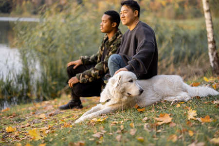 Pleased asian and latin man sitting, caressing Maremmano-Abruzzese Sheepdog and looking away in nature at sunny autumn day. Concept of rest and weekend in natureの写真素材