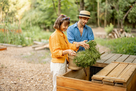Young couple throwing cut grass to compost wooden bin for rotting into fertilizer for the garden. Concept of organic fertilizers for growing foodの写真素材