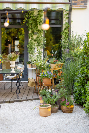 Beautiful and cozy backyard of country house decorated with lots of potted plants and flowersの写真素材