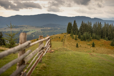 Landscape of green meadow highly in the mountains during rainy weather. Carpathian mountains in Ukraineの写真素材