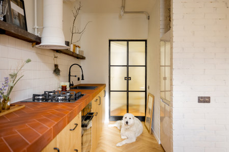 Stylish kitchen interior of modern apartment made in white and beige tones with glass door in loft style. White dog lying on wooden floorの写真素材