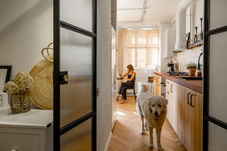 Woman sits by the dining table with her dog in the kitchen of bright and stylish apartment, view through the opened glass doorの写真素材