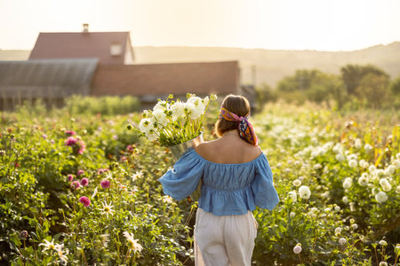 Beautiful woman walks with freshly picked up dahlia flowers on flower garden with farm house on background at countryside, view from the backside during sunsetの写真素材