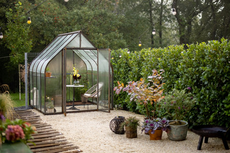 Morning view on backyard with beautiful vintage greenhouse in foggy weather. Tiny and cozy garden near forestの写真素材