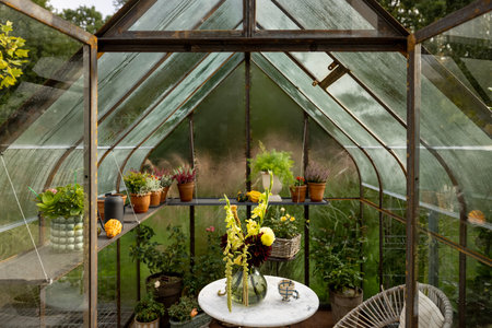 Beautiful orangery made of rusty metal and glass with flowers inside. Lush bouquet in vase on the table. Growing plants in greenhouse in gardenの写真素材