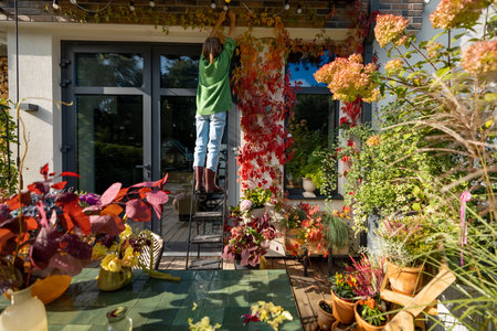 Woman decorates a beautiful facade of her house, on which wild ivy grows, view from backyard during autumn time. Garden with yellow leaves. Beautiful leaves in yellow and red colorsの写真素材