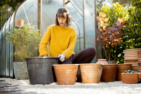 Woman planting flowers in clay jugs for growing in glass orangery at garden. Florist gardening at beautiful backyard on sunny morningの写真素材