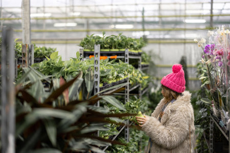 Woman chooses some poted plants at floral shop during a winter time. Woman shopping for a winter holidaysの写真素材